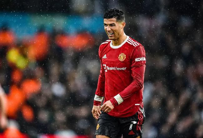 大象视频dx2022回家的路