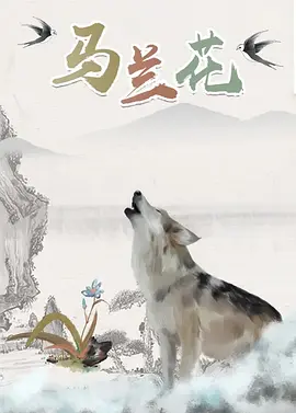 51精品视频