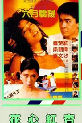 成人h在线观看