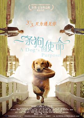 玥玥的宝库