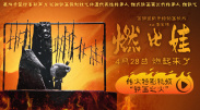 亚洲日本一区二区三区高清在线