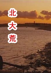 久久久久9999