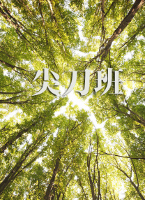 麻豆传媒 在线