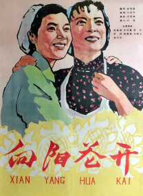 她说的话