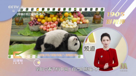 极品色在线精品视频